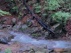 -本溪汤沟绿石谷森林公园