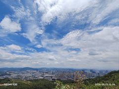 -长虫山生态公园风景林