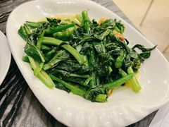猪油渣菜心-美极鲜食坊(宝安南路店)