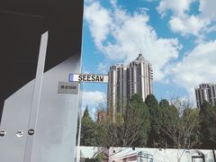 -Seesaw Coffee(上生新所店)