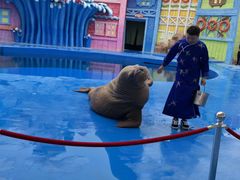 -华夏文旅海洋公园