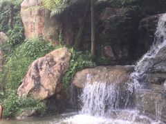 -广州市帽峰山景区