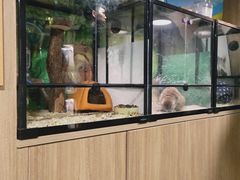 -藦茜花园宠物主题亲子互动体验馆(国顺东路店)