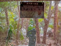 -西安国际创新人才交流中心•药浴温泉