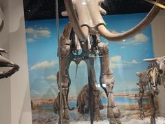 -国家自然博物馆