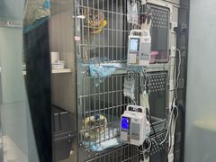 -半岛宠物医院24小时(科华中路店)