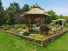 -上海共青森林公园