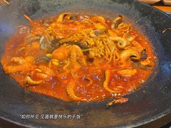 -红辣椒八爪鱼特色韩国料理