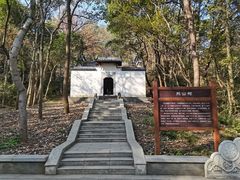 -青龙山国家森林公园