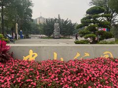 -长洲岛