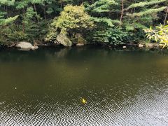 -无染寺