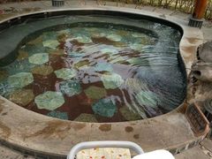 -汇雅温泉