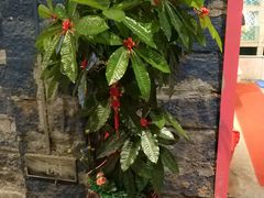 门面-船奇蒸汽海鲜·闽菜(八市海鲜总店)