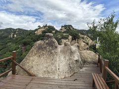 -大岭沟猕猴桃谷风景区