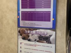 -宠爱国际动物医院· 猫科· 外科·中兽医(长白店)