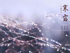 -紫竹院公园冰场