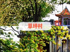 -江门古劳水乡旅游区