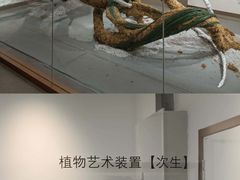 -凤凰国际书城(凤凰广场店)