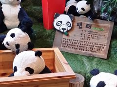 -济州岛泰迪熊博物馆