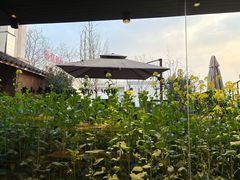 -黄山老妈·土菜(碧桂园店)