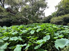 -成都武侯祠博物馆