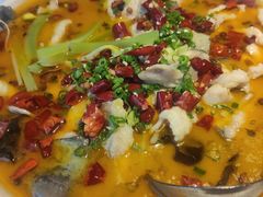 柴门酸菜鱼-東舍食唐精品陕菜馆
