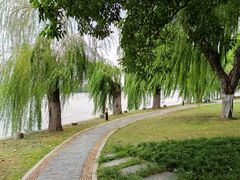 -东湖听涛景区
