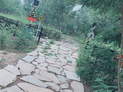 -西青郊野公园
