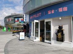 门面-飞行喵MR PILOT|猫舍·猫咖(静安大融城店)