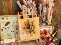 -知物癖(牛王庙店)