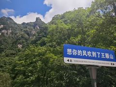 -王顺山国家森林公园
