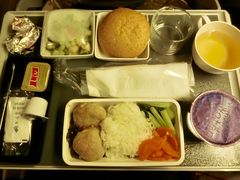 梅菜扣肉饭-新加坡航空公司(ION)