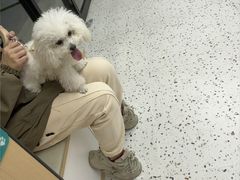 -瑞派康怡24h宠物医院·犬猫医疗中心·微创绝育(瑞景分院)