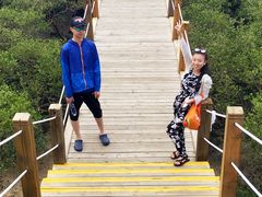 -北海金海湾红树林生态旅游区