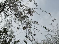 -梁鸿国家湿地公园