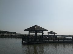 -南大港湿地风景区