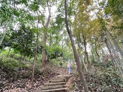 -上海佘山国家森林公园天马山园