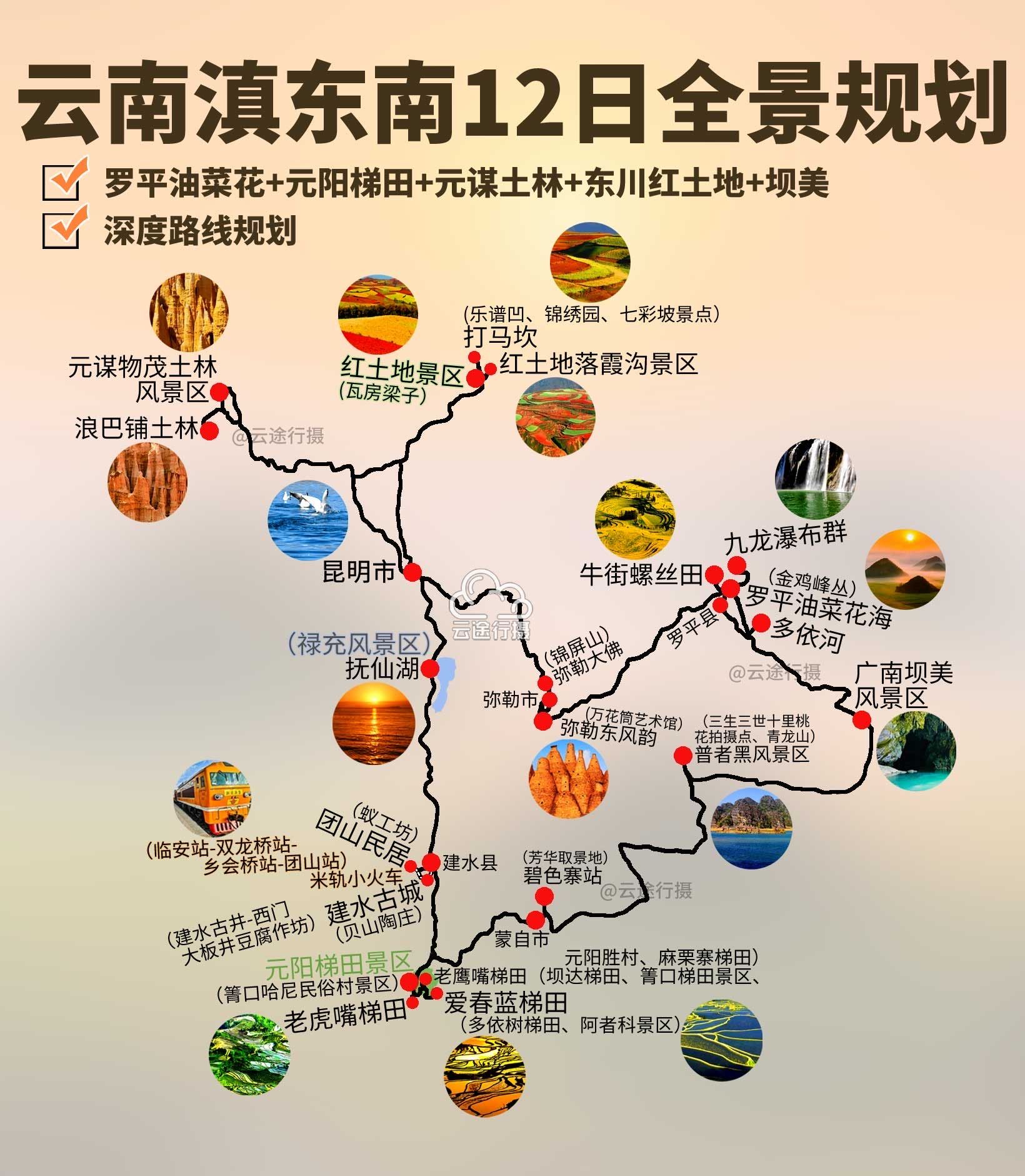 云南滇东南罗平油菜花春季赏花6