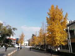 -四川大学(望江校区)