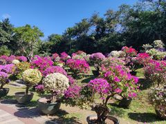 -三亚蜈支洲岛旅游区