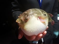 -永安鱼庄·镇江菜(东吴路店)