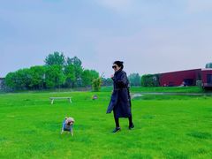 -安德鲁户外烧烤帐篷营地(马泉营店)