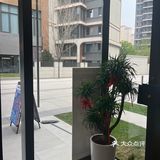 给咖啡☕️爱好者亿点暴击