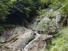 -青峰峡国家森林公园