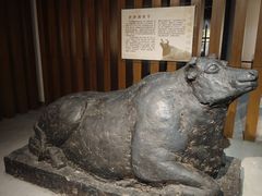 -淮安市博物馆