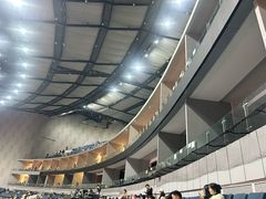 -成都金融城演艺中心