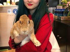 -藦茜花园宠物主题亲子互动体验馆(国顺东路店)