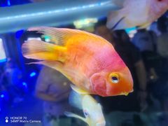-大连圣亚海洋世界