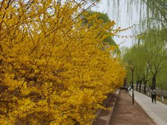 -元大都城垣遗址公园