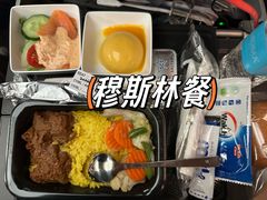 -新加坡航空公司(ION)